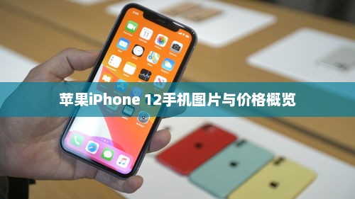 苹果iPhone 12手机图片与价格概览