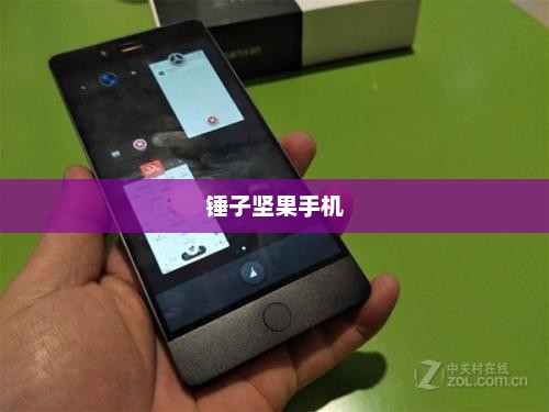 锤子坚果手机，科技与美学的极致融合