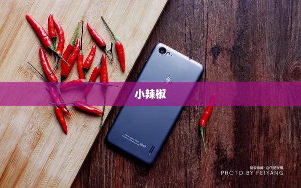 小辣椒与手机的梦幻之旅