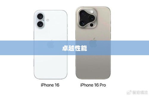 iPhone 5电信版，卓越性能，电信用户的通信利器