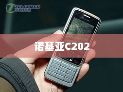 诺基亚C2-02，经典与现代的融合之作