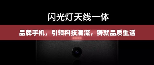 品牌手机，引领科技潮流，铸就品质生活