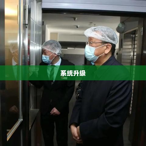 系统升级，迈向高效智能的未来之路