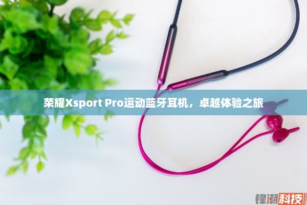 荣耀Xsport Pro运动蓝牙耳机，卓越体验之旅