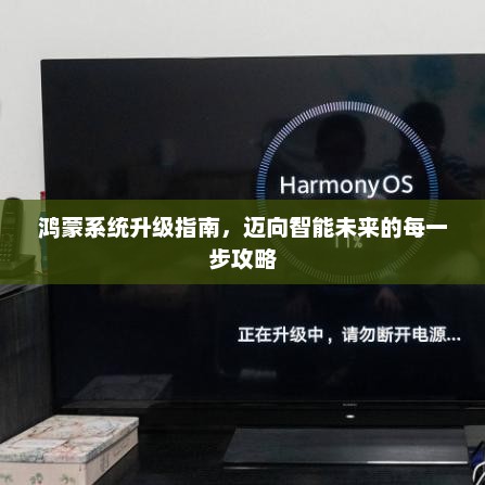 鸿蒙系统升级指南，迈向智能未来的每一步攻略