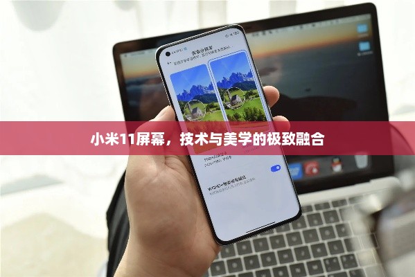 小米11屏幕，技术与美学的极致融合