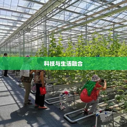 科技与生活的融合之美，全新手机体验