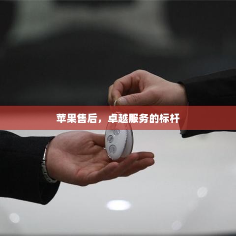 苹果售后，卓越服务的标杆