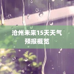 沧州未来15天天气预报概览