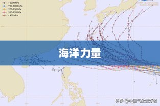 海洋力量催生新台风胚胎，天气即将迎来新一轮变化