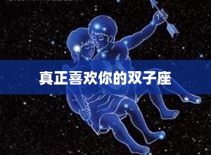 双子座的真挚喜欢之情