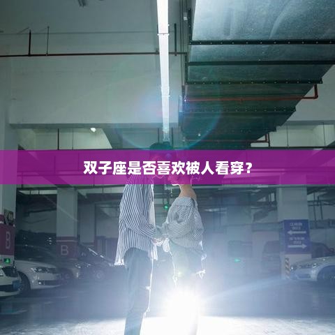 双子座是否喜欢被人看穿？