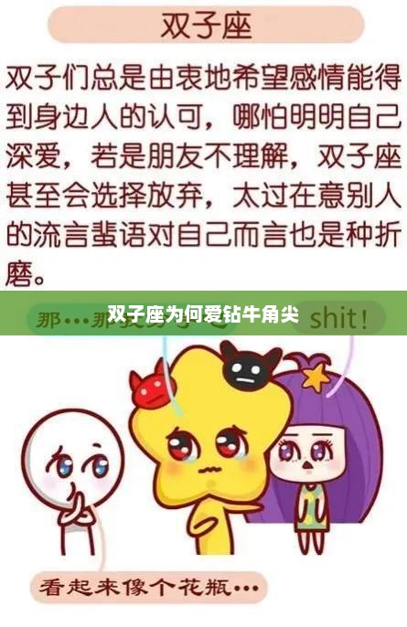 双子座为何爱钻牛角尖