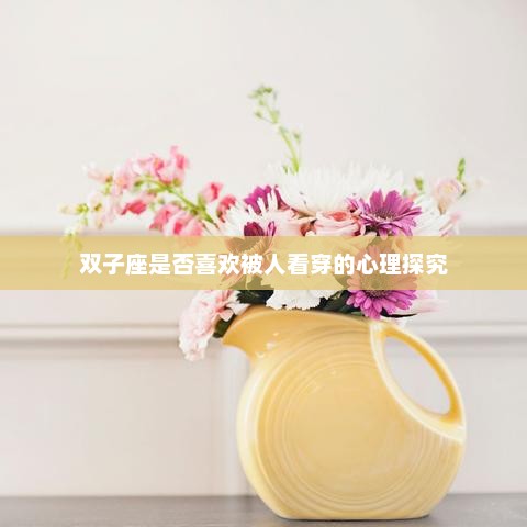双子座的心理探究，是否喜欢被人看穿？