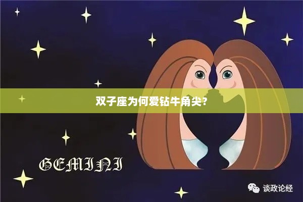 双子座为何爱钻牛角尖？