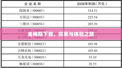 金梅瓶下载，探索与体验之旅