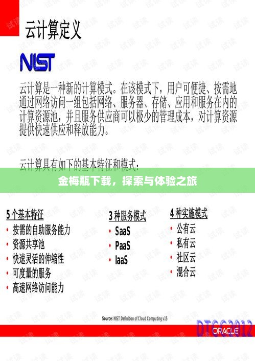 金梅瓶下载，探索与体验之旅
