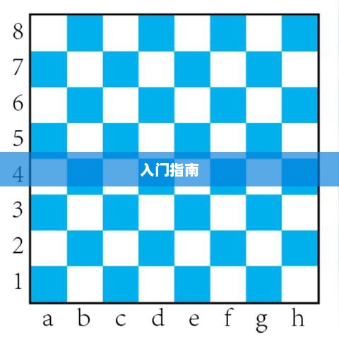 新手必玩的棋牌手游，入门指南与推荐游戏榜单