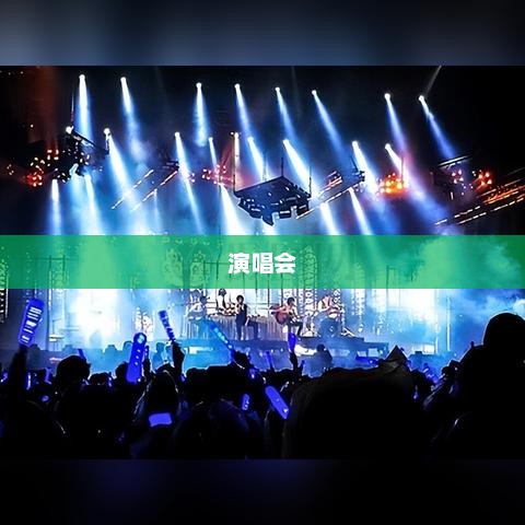 王力宏演唱会创纪录，掀起震撼天花板之夜！