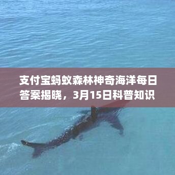 支付宝蚂蚁森林神奇海洋每日答案揭晓，3月15日科普知识解析
