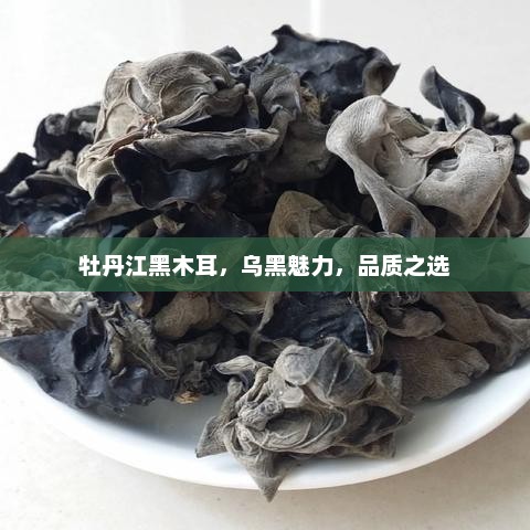 牡丹江黑木耳，乌黑魅力，品质之选