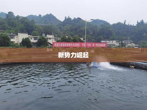 网易娱乐见证新势力崛起，新紫薇告别软弱，海陆变革展现新风采