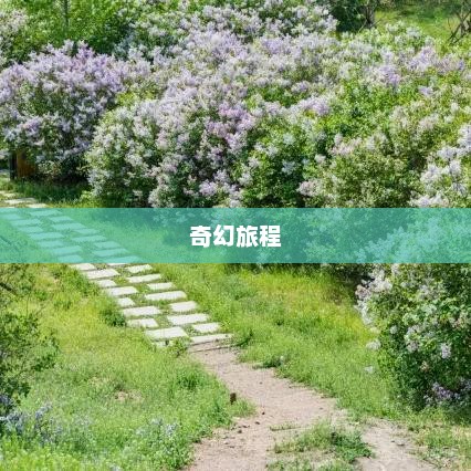 光影之梦，幻想影院与未来之翼的奇幻旅程