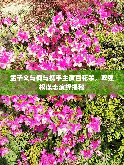 孟子义与何共舞百花杀，双强权谋恋揭秘之旅