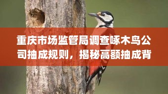 重庆市场监管局调查啄木鸟公司抽成规则，揭秘高额抽成背后的真相？