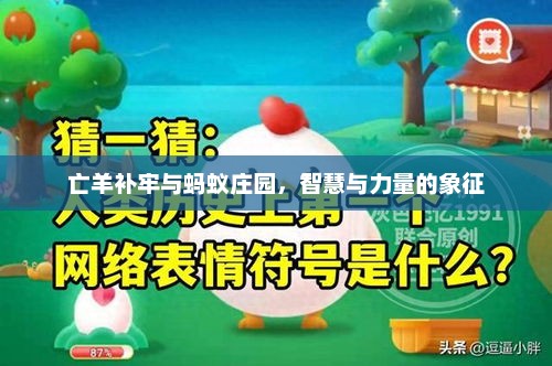 亡羊补牢与蚂蚁庄园，智慧与力量的象征