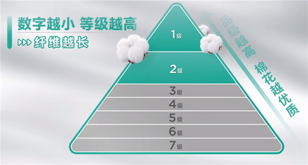央视315曝光肮脏的一次性内裤：3个动作教你避坑