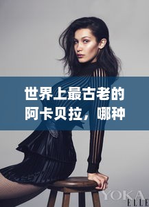 世界上最古老的阿卡贝拉，哪种民族音乐获此殊荣？