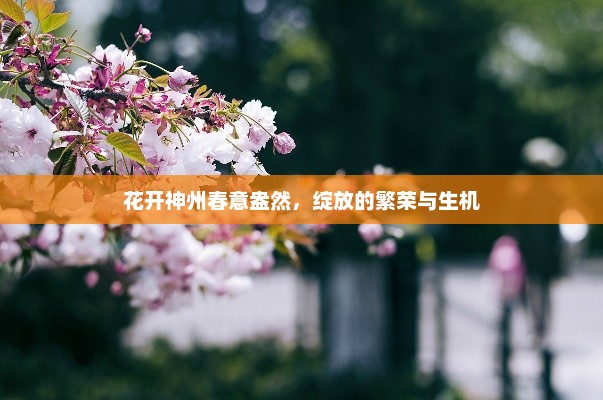 花开神州春意盎然，绽放的繁荣与生机