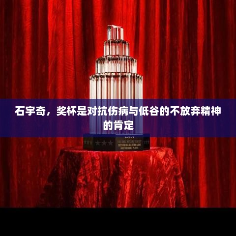 石宇奇，奖杯是对抗伤病与低谷的不放弃精神的肯定