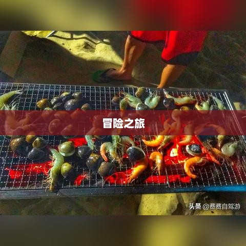 现代捕鱼游戏，乐趣与挑战交织的冒险之旅