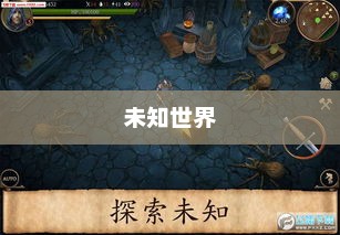新开超变态传奇私服，未知世界的冒险征程