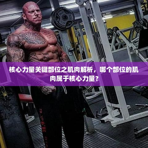 核心力量关键部位之肌肉解析，哪个部位的肌肉属于核心力量？
