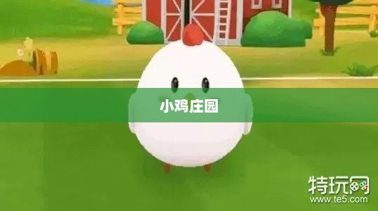 小鸡庄园今日谜题揭秘，最新答案探索之旅