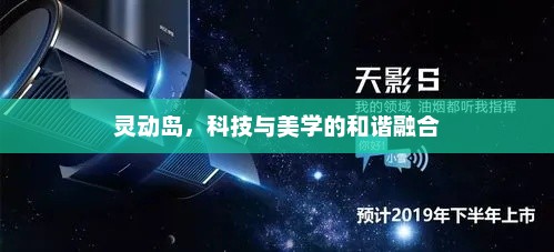 灵动岛，科技与美学的和谐融合