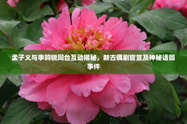 孟子义与李昀锐同台揭秘，新古偶剧官宣及神秘话筒背后的故事