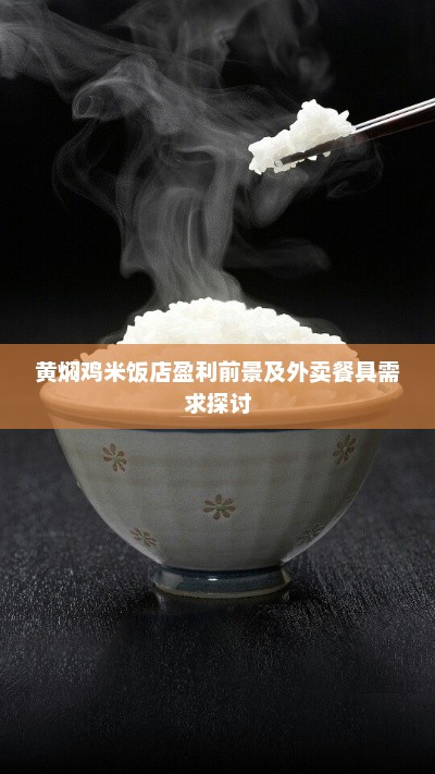 黄焖鸡米饭店盈利前景与外卖餐具需求分析探讨