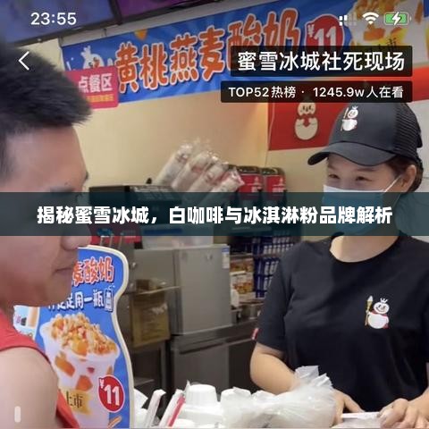 蜜雪冰城深度解析，白咖啡与冰淇淋粉品牌探秘