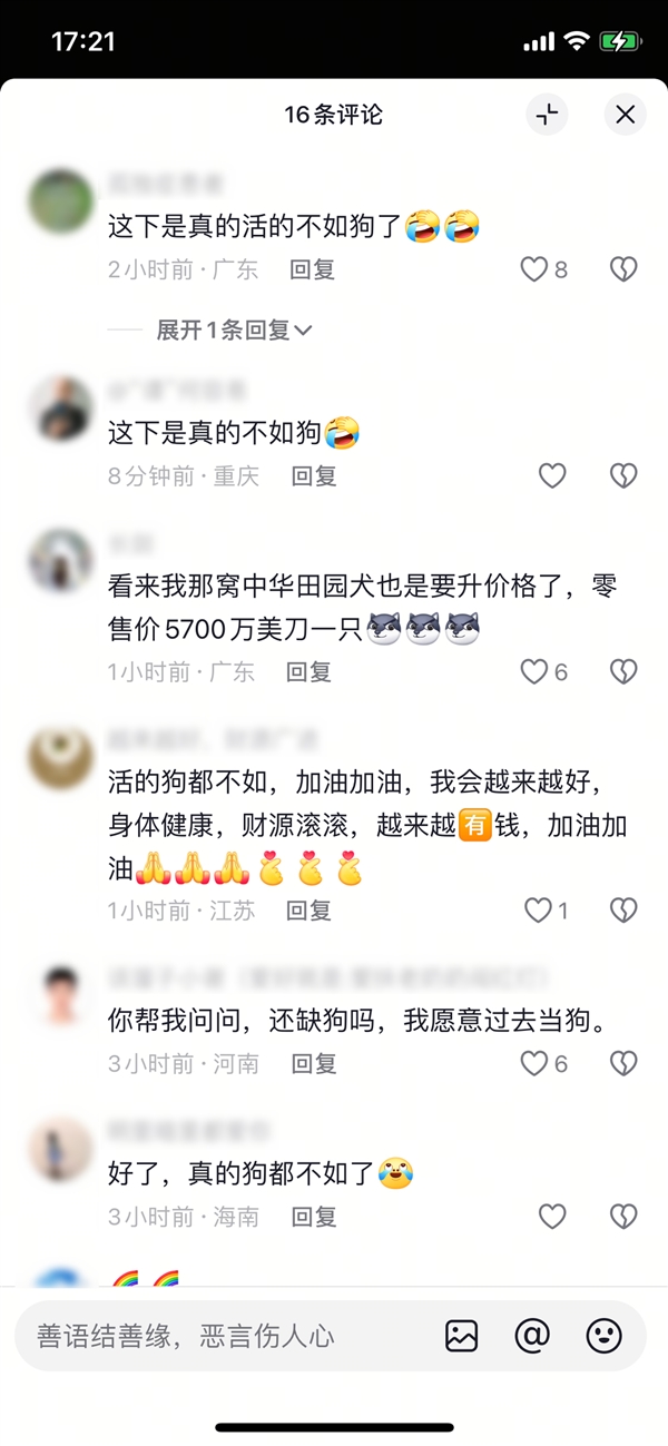 天价杂交狼牧羊犬成交，刷新纪录达4100万元