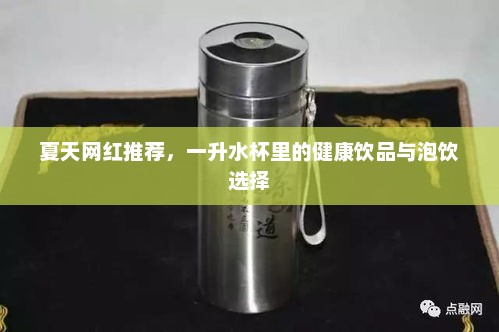 夏日网红推荐，一升水杯中的健康饮品与泡饮攻略