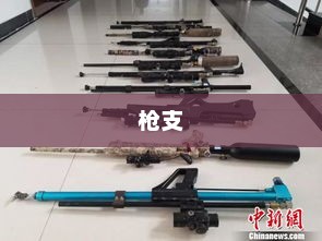 私藏枪支酿悲剧，14岁儿子枪杀6岁妹妹，法律铁拳下的家长责任反思