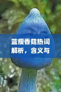 蓝瘦香菇热词解析，探究其含义与起源