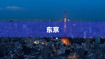 樊振东现身MLB东京赛场，与张本智和梦幻互动并赠礼！