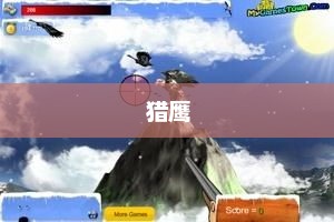 SpaceX龙飞船与猎鹰火箭型号及特性概览