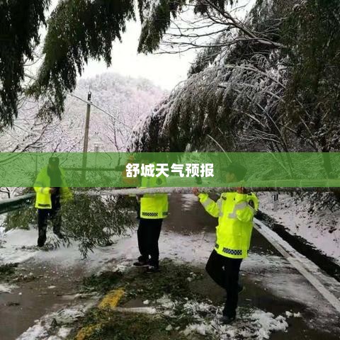 舒城未来一周天气预报概览