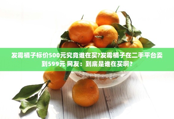 发霉橘子标价500元究竟谁在买?发霉橘子在二手平台卖到599元 网友：到底是谁在买啊？